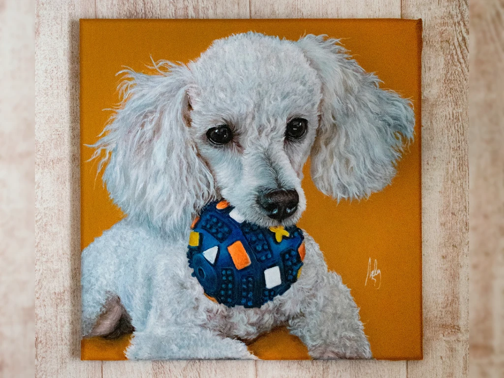 retrato de poodle toy pintado con acrilico
